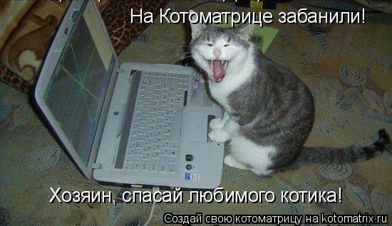 На Котоматрице забанили! Хозяин, спасай любимого котика!... Котоматрица: На Котоматрице забанили! Хозяин, спасай любимого котика!