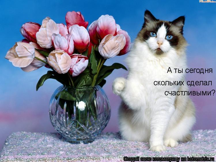 А ты сегодня скольких сделал счастливыми?... Котоматрица: А ты сегодня скольких сделал счастливыми?