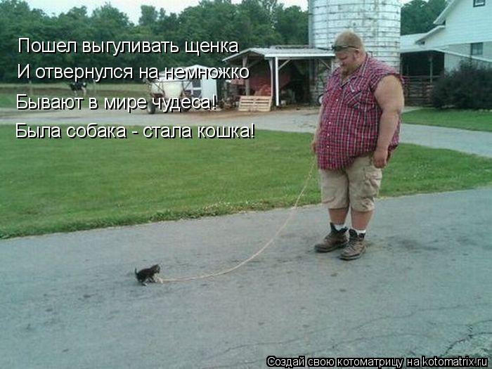 Пошел выгуливать щенка И отвернулся на немножко Бывают в мире чудеса! Была собака - стала кошка!... Котоматрица: Пошел выгуливать щенка И отвернулся на немножко Бывают в мире чудеса! Была собака - стала кошка!