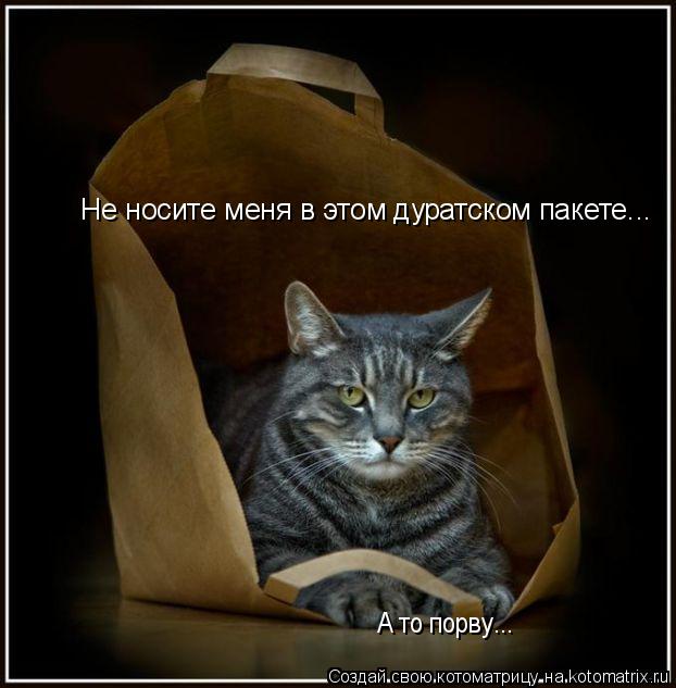 Не носите меня в этом дуратском пакете... А то порву... А то порву...... Котоматрица: Не носите меня в этом дуратском пакете... А то порву... А то порву...