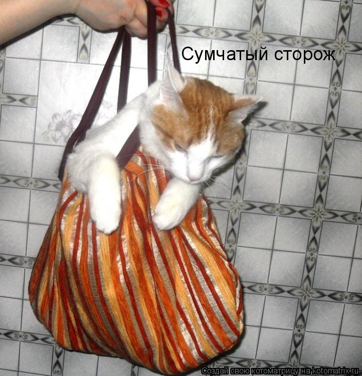 Сумчатый сторож... Котоматрица: Сумчатый сторож