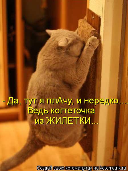 - Да, тут я плАчу, и нередко.... Ведь когтеточка из ЖИЛЕТКИ...... Котоматрица: - Да, тут я плАчу, и нередко.... Ведь когтеточка из ЖИЛЕТКИ...