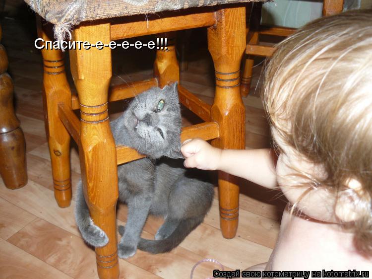 Спасите-е-е-е-е-е!!!... Котоматрица: Спасите-е-е-е-е-е!!!