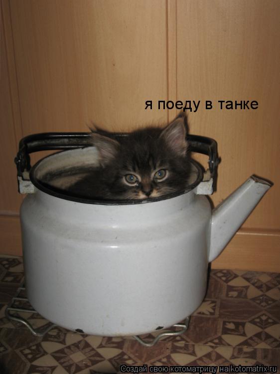 я поеду в танке... Котоматрица: я поеду в танке