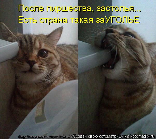После пиршества, застолья... Есть страна такая заУГОЛЬЕ... Котоматрица: После пиршества, застолья... Есть страна такая заУГОЛЬЕ