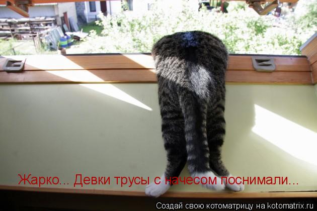 Жарко... Девки трусы с начесом поснимали...... Котоматрица: Жарко... Девки трусы с начесом поснимали...
