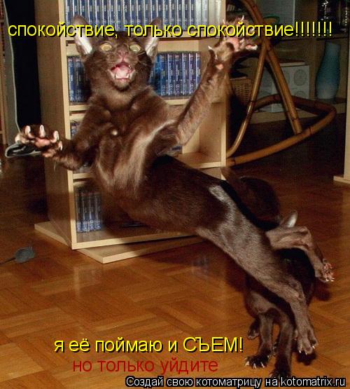 спокойствие, только спокойствие!!!!!!! я её поймаю и СЪЕМ! но только уйдите... Котоматрица: спокойствие, только спокойствие!!!!!!! я её поймаю и СЪЕМ! но только уйдите