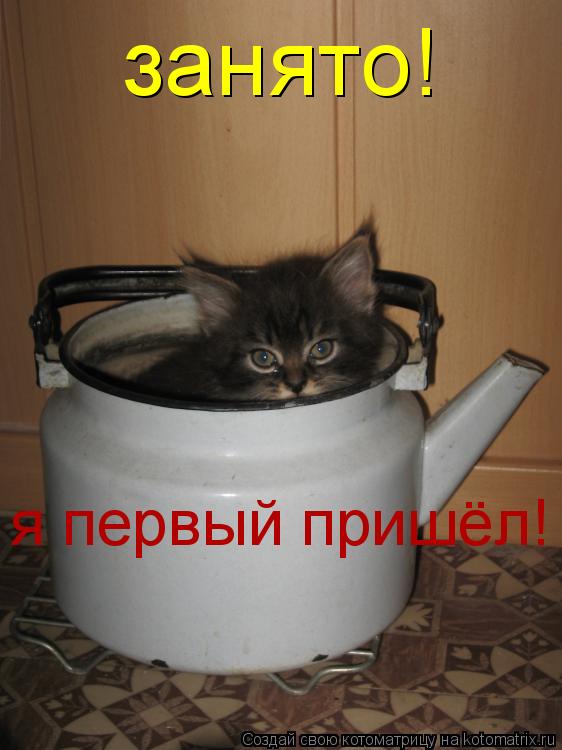 занято! я первый пришёл!... Котоматрица: занято! я первый пришёл!