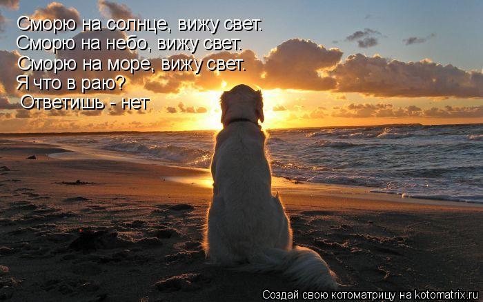 Сморю на солнце, вижу свет. Сморю на небо, вижу свет. Сморю на море, вижу свет. Я что в раю? Ответишь... Котоматрица: Сморю на солнце, вижу свет. Сморю на небо, вижу свет. Сморю на море, вижу свет. Я что в раю? Ответишь - нет