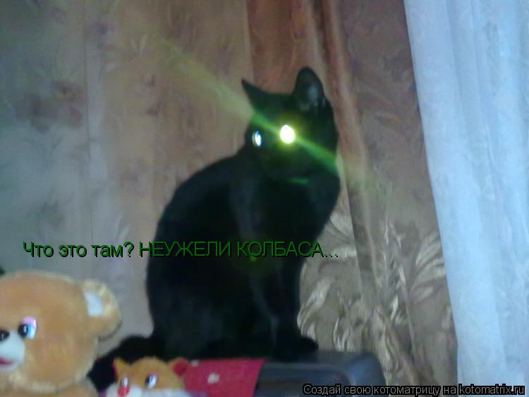 Что это там? НЕУЖЕЛИ КОЛБАСА...... Котоматрица: Что это там? НЕУЖЕЛИ КОЛБАСА...