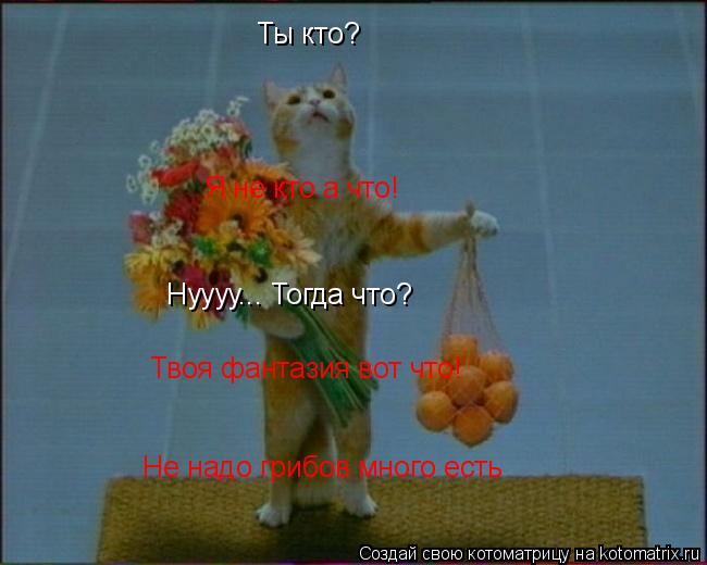 Ты кто? Я не кто а что! Нуууу... Тогда что? Твоя фантазия вот что! Не надо грибов много есть... Котоматрица: Ты кто? Я не кто а что! Нуууу... Тогда что? Твоя фантазия вот что! Не надо грибов много есть