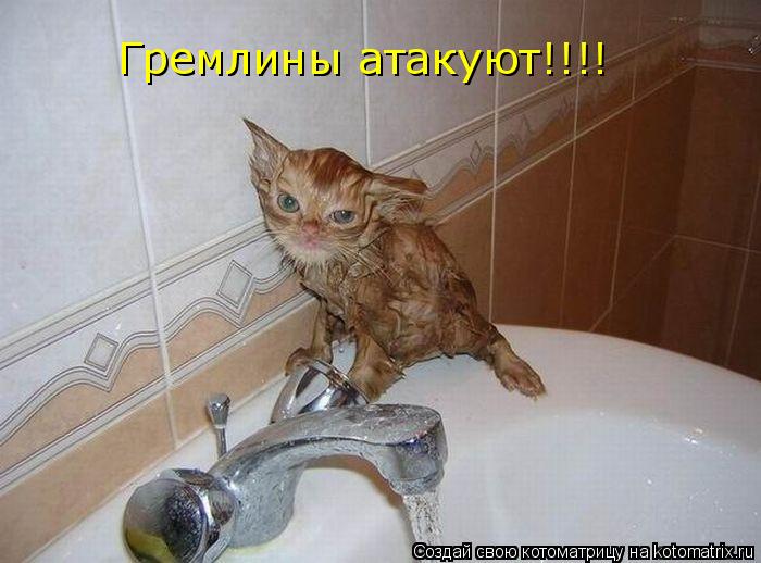 Гремлины атакуют!!!!... Котоматрица: Гремлины атакуют!!!!