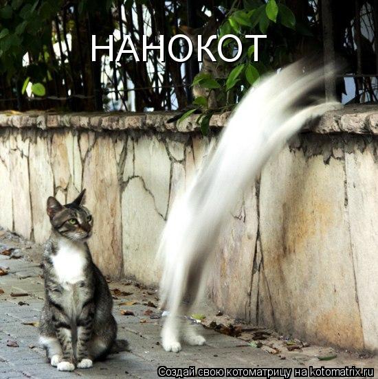 НАНОКОТ... Котоматрица: НАНОКОТ