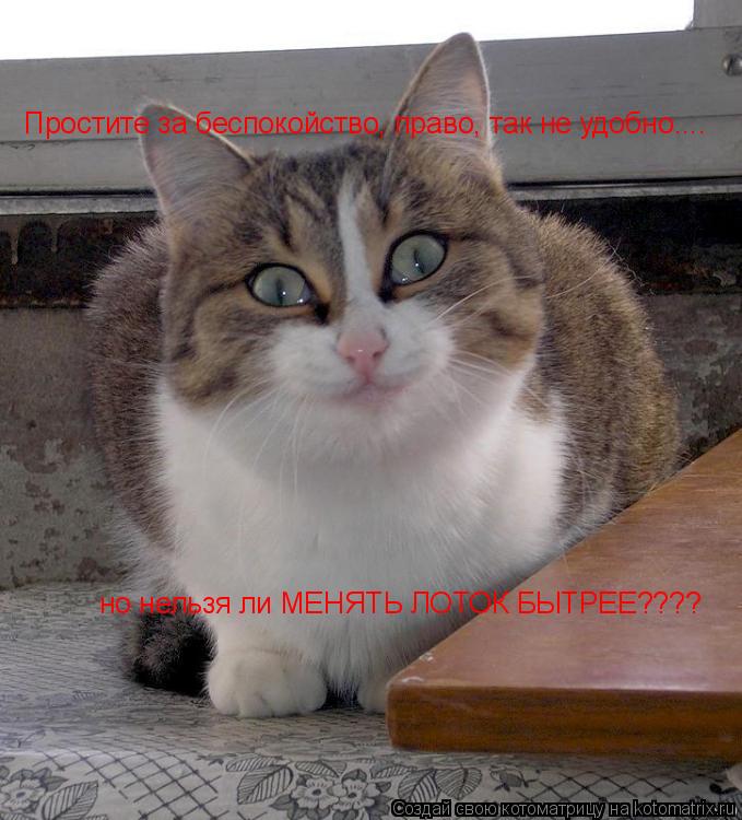 Простите за беспокойство, право, так не удобно.... но нельзя ли МЕНЯТЬ ЛОТОК БЫТРЕЕ????... Котоматрица: Простите за беспокойство, право, так не удобно.... но нельзя ли МЕНЯТЬ ЛОТОК БЫТРЕЕ????