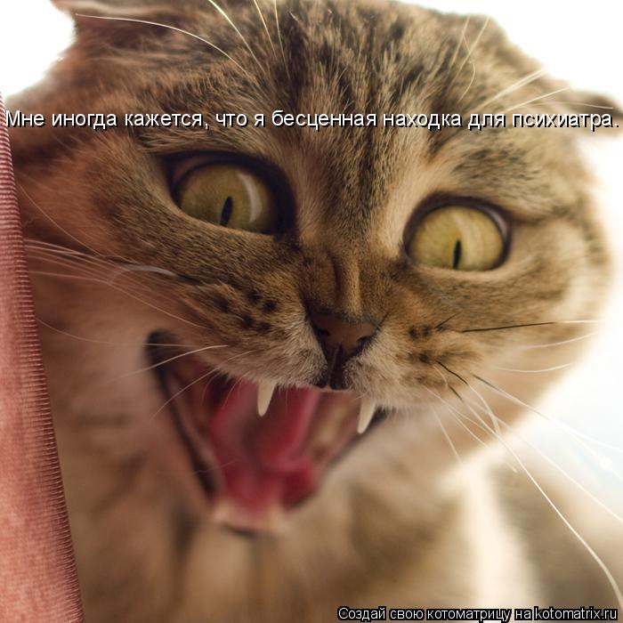 Мне иногда кажется, что я бесценная находка для психиатра.... Котоматрица: Мне иногда кажется, что я бесценная находка для психиатра.