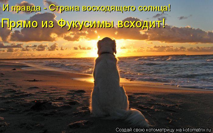 И правда - Страна восходящего солнца! Прямо из Фукусимы всходит!... Котоматрица: И правда - Страна восходящего солнца! Прямо из Фукусимы всходит!