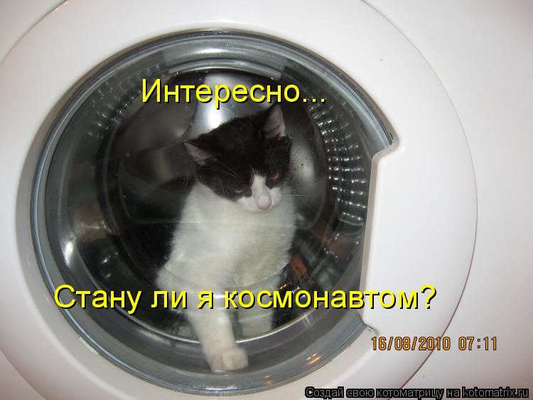 Интересно... Стану ли я космонавтом?... Котоматрица: Интересно... Стану ли я космонавтом?
