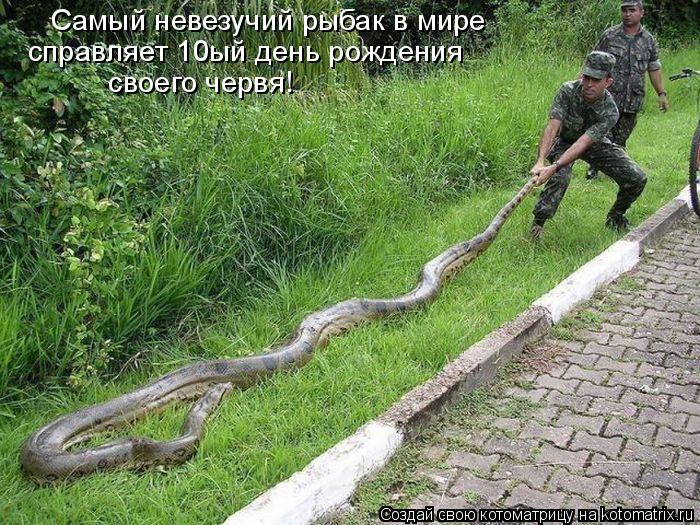 Самый невезучий рыбак справляет 10ый день рождения своего червя! в мире... Котоматрица: Самый невезучий рыбак справляет 10ый день рождения своего червя! в мире