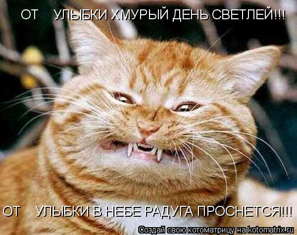 ОТ УЛЫБКИ ХМУРЫЙ ДЕНЬ СВЕТЛЕЙ!!! ОТ УЛЫБКИ В НЕБЕ РАДУГА ПРОСНЕТСЯ!!! ОТ УЛЫБКИ В НЕБЕ РАДУГ... Котоматрица: ОТ УЛЫБКИ ХМУРЫЙ ДЕНЬ СВЕТЛЕЙ!!! ОТ УЛЫБКИ В НЕБЕ РАДУГА ПРОСНЕТСЯ!!! ОТ УЛЫБКИ В НЕБЕ РАДУГА ПРОСНЕТСЯ!!!
