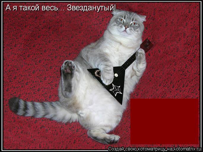 А я такой весь... Звезданутый!... Котоматрица: А я такой весь... Звезданутый!