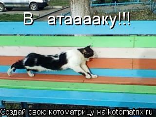 В атааааку!!!... Котоматрица: В атааааку!!!