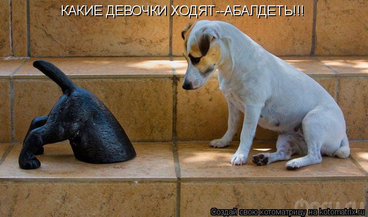 КАКИЕ ДЕВОЧКИ ХОДЯТ--АБАЛДЕТЬ!!!... Котоматрица: КАКИЕ ДЕВОЧКИ ХОДЯТ--АБАЛДЕТЬ!!!