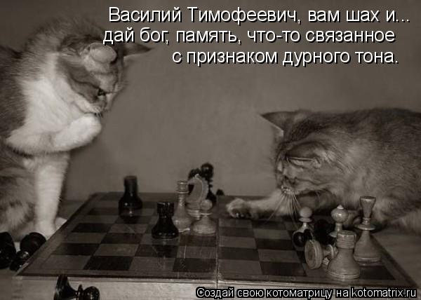 Василий Тимофеевич, вам шах и... дай бог, память, что-то связанное с признаком дурного тона.... Котоматрица: Василий Тимофеевич, вам шах и... дай бог, память, что-то связанное с признаком дурного тона.