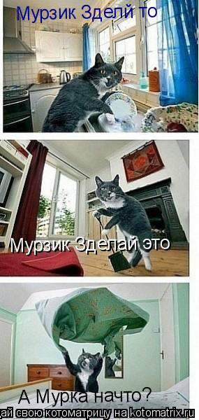 Мурзик Зделй то Мурзик Зделай это А Мурка начто?... Котоматрица: Мурзик Зделй то Мурзик Зделай это А Мурка начто?