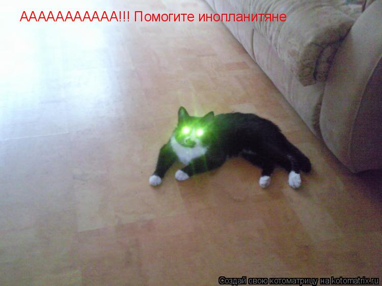 ААААААААААА!!! Помогите инопланитяне... Котоматрица: ААААААААААА!!! Помогите инопланитяне