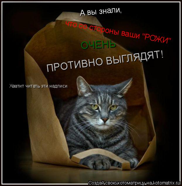А вы знали, что со стороны ваши "РОЖИ" ОЧЕНЬ ПРОТИВНО ВЫГЛЯДЯТ! Хватит читать эти надписи... Котоматрица: А вы знали, что со стороны ваши "РОЖИ" ОЧЕНЬ ПРОТИВНО ВЫГЛЯДЯТ! Хватит читать эти надписи