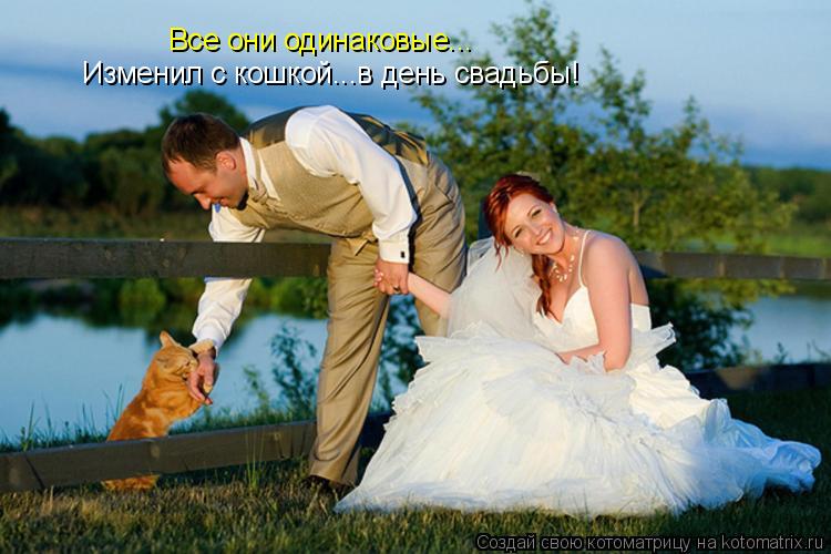 Изменил с кошкой...в день свадьбы! Все они одинаковые...... Котоматрица: Изменил с кошкой...в день свадьбы! Все они одинаковые...