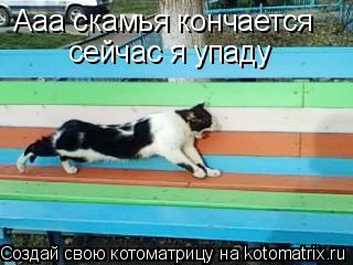 Ааа скамья кончается сейчас я упаду... Котоматрица: Ааа скамья кончается сейчас я упаду