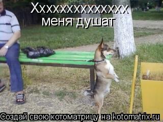 Хххххххххххххх меня душат... Котоматрица: Хххххххххххххх меня душат