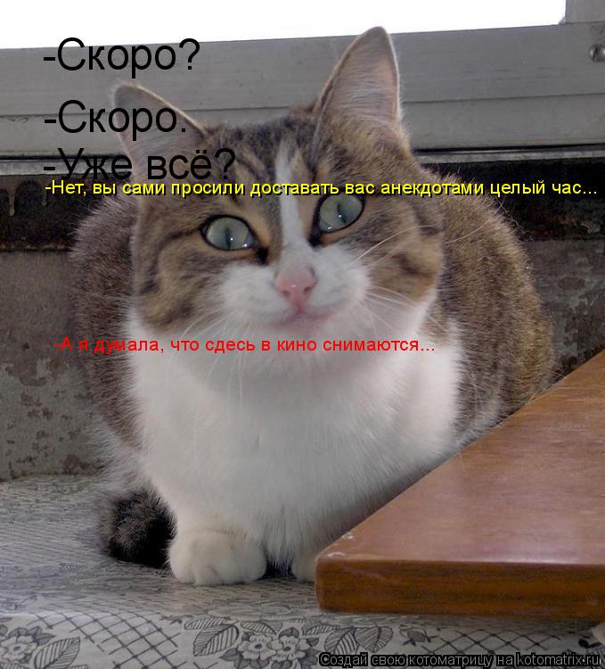 -Скоро? -Скоро. -Уже всё? -Нет, вы сами просили доставать вас анекдотами целый час... -А я думала, чт... Котоматрица: -Скоро? -Скоро. -Уже всё? -Нет, вы сами просили доставать вас анекдотами целый час... -А я думала, что сдесь в кино снимаются...