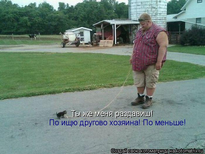 Ты же меня раздавиш! Ты же меня раздавиш! По ищю другово хозяина! По меньше!... Котоматрица: Ты же меня раздавиш! Ты же меня раздавиш! По ищю другово хозяина! По меньше!