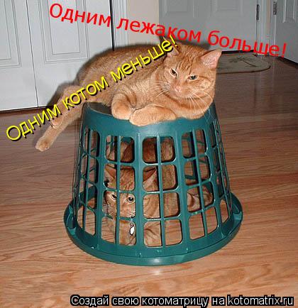 Одним котом меньше! Одним лежаком больше!... Котоматрица: Одним котом меньше! Одним лежаком больше!