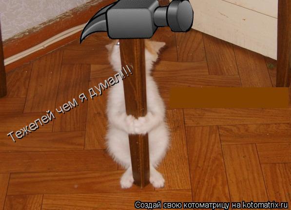 Тежелей чем я думал!!!... Котоматрица: Тежелей чем я думал!!!