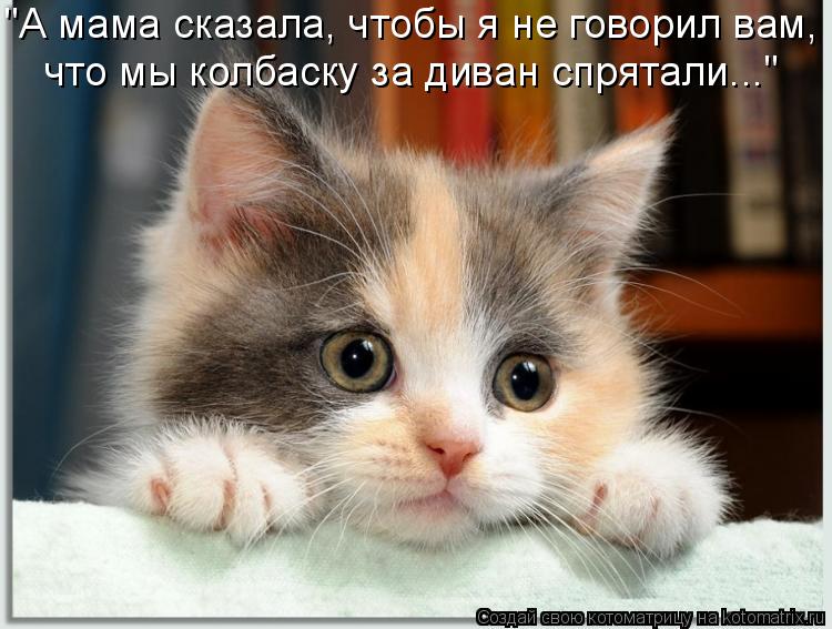 "А мама сказала, чтобы я не говорил вам, что мы колбаску за диван спрятали..."... Котоматрица: "А мама сказала, чтобы я не говорил вам, что мы колбаску за диван спрятали..."