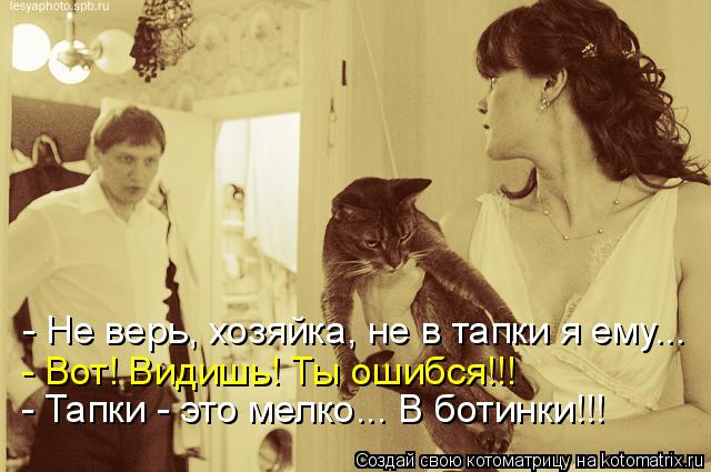 - Не верь, хозяйка, не в тапки я ему... - Вот! Видишь! Ты ошибся!!! - Тапки - это мелко... В ботинки... Котоматрица: - Не верь, хозяйка, не в тапки я ему... - Вот! Видишь! Ты ошибся!!! - Тапки - это мелко... В ботинки!!!