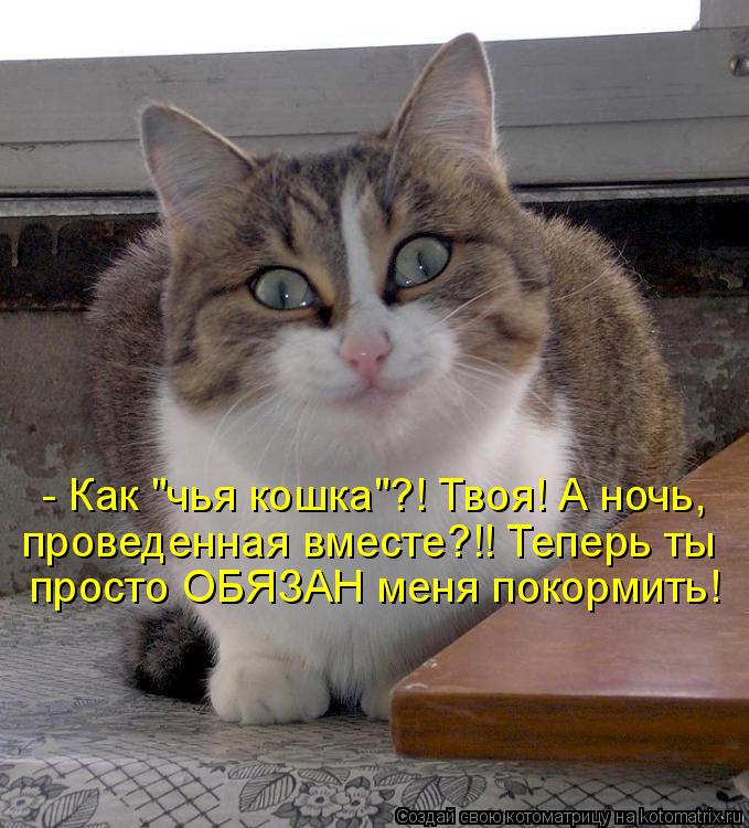 - Как "чья кошка"?! Твоя! А ночь, проведенная вместе?!! Теперь ты просто ОБЯЗАН меня покормить!... Котоматрица: - Как "чья кошка"?! Твоя! А ночь, проведенная вместе?!! Теперь ты просто ОБЯЗАН меня покормить!