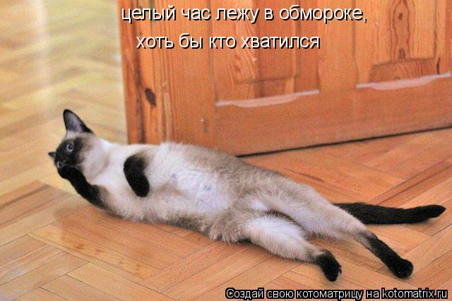 целый час лежу в обмороке, хоть бы кто хватился... Котоматрица: целый час лежу в обмороке, хоть бы кто хватился