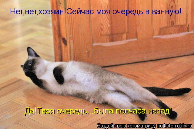 Нет,нет,хозяин!Сейчас моя очередь в ванную! Да!Твоя очередь...была полчаса назад!... Котоматрица: Нет,нет,хозяин!Сейчас моя очередь в ванную! Да!Твоя очередь...была полчаса назад!