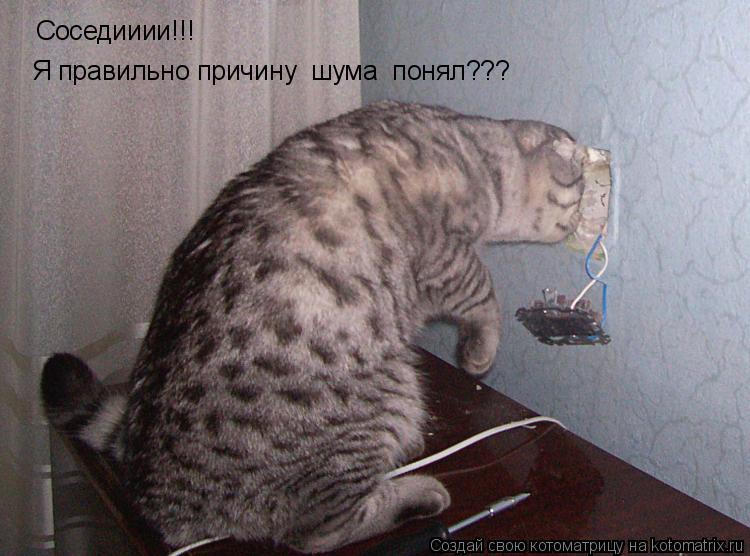 Соседииии!!! Я правильно причину шума понял???... Котоматрица: Соседииии!!! Я правильно причину шума понял???
