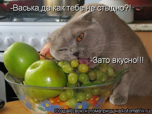 -Васька,да как тебе не стыдно?! -Зато вкусно!!!... Котоматрица: -Васька,да как тебе не стыдно?! -Зато вкусно!!!
