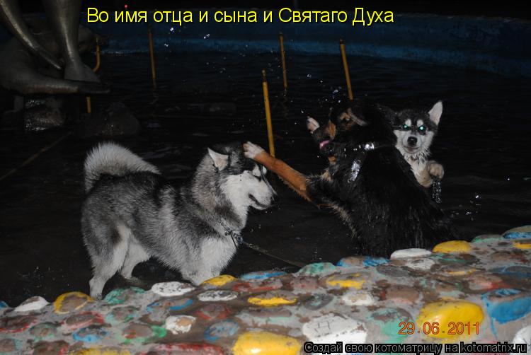 Во имя отца и сына и Святаго Духа... Котоматрица: Во имя отца и сына и Святаго Духа