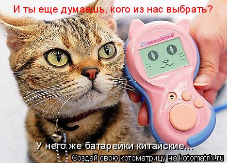 И ты еще думаешь, кого из нас выбрать? У него же батарейки китайские...... Котоматрица: И ты еще думаешь, кого из нас выбрать? У него же батарейки китайские...