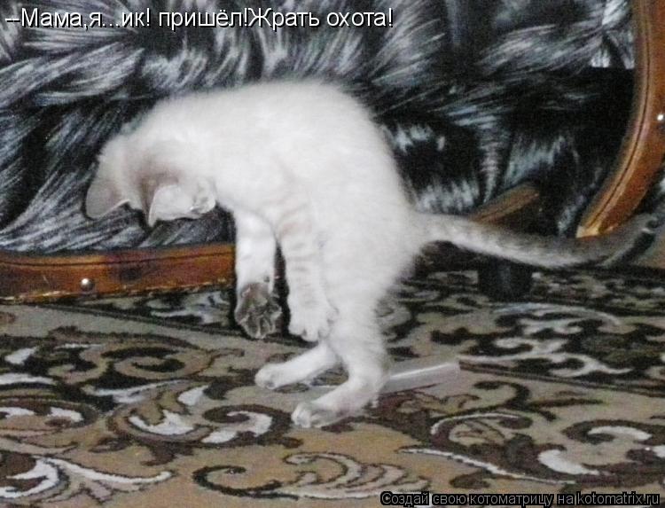 --Мама,я...ик! пришёл!Жрать охота!... Котоматрица: --Мама,я...ик! пришёл!Жрать охота!
