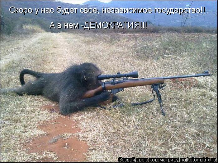 Скоро у нас будет свое, независимое государство!! А в нем -ДЕМОКРАТИЯ!!!... Котоматрица: Скоро у нас будет свое, независимое государство!! А в нем -ДЕМОКРАТИЯ!!!