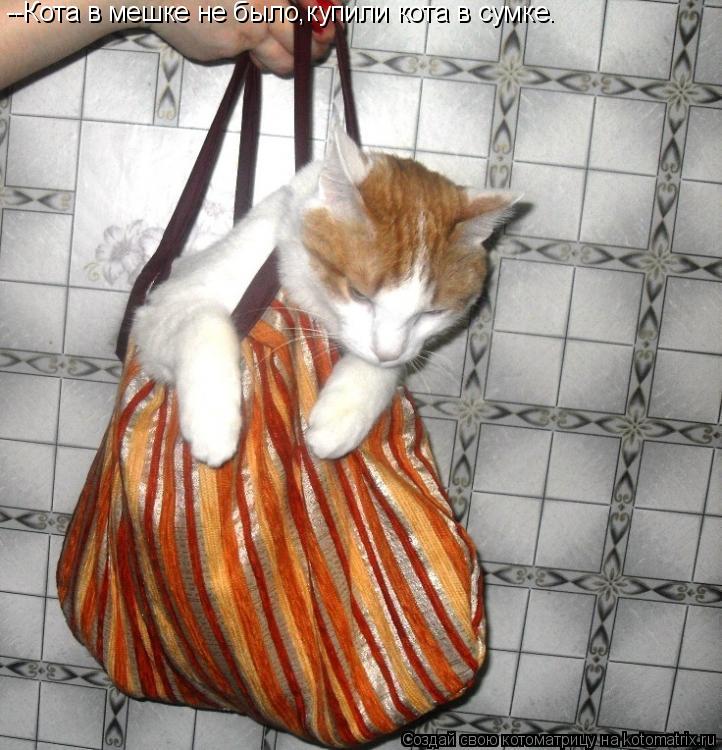 --Кота в мешке не было,купили кота в сумке.... Котоматрица: --Кота в мешке не было,купили кота в сумке.