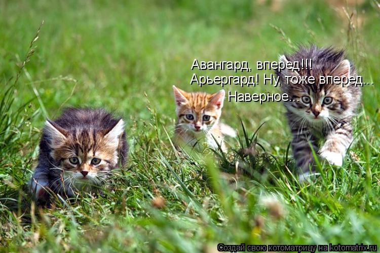 Авангард, вперед!!! Арьергард! Ну, тоже вперед... Наверное...... Котоматрица: Авангард, вперед!!! Арьергард! Ну, тоже вперед... Наверное...
